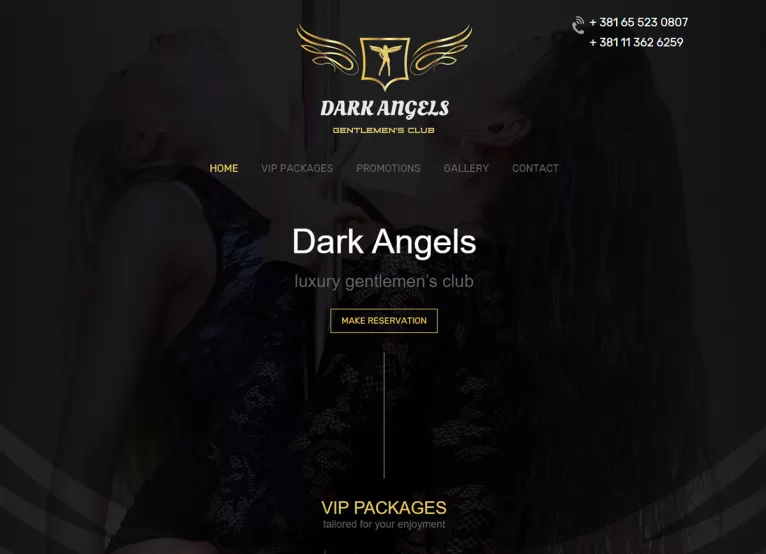 Portfolio prikaz projekta: Dark Angels