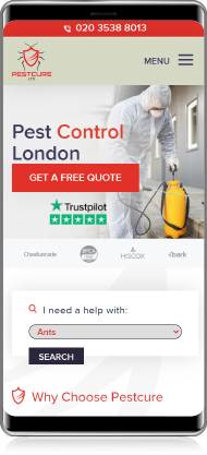 Mobilni prikaz projekta Pestcure
