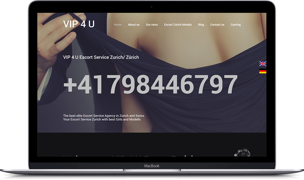 Desktop prikaz projekta VIP 4 U